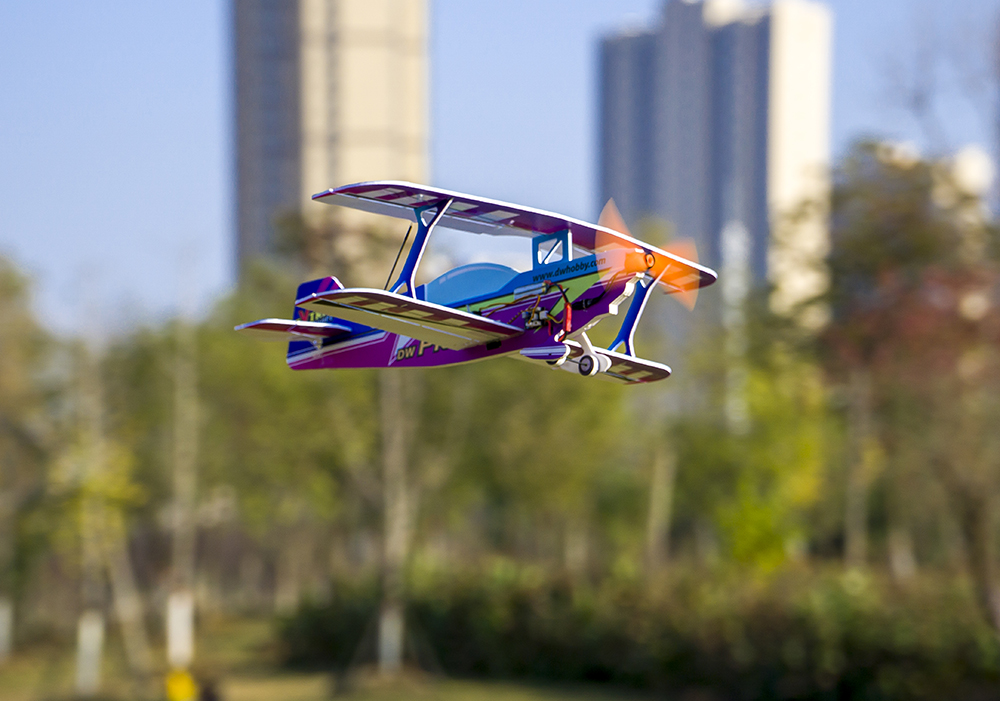 DW Hobby 450mm PITTS PP RC Air - Rc Hobby Experts review and price
