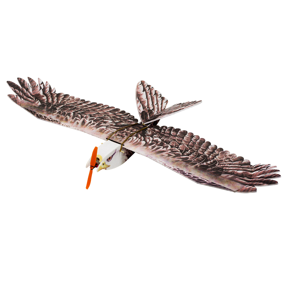DW Hobby Eagle II EPP Airplane - Rc Hobby Experts review and price