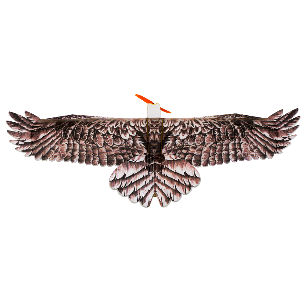 DW Hobby Eagle II EPP Airplane - Rc Hobby Experts review and price