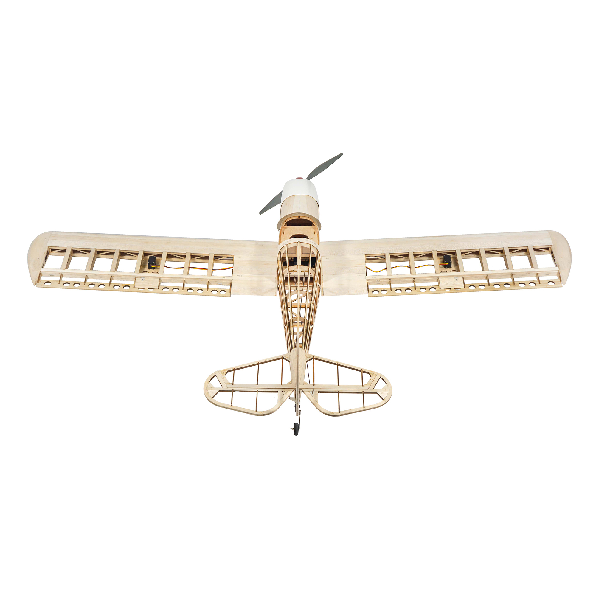 Dancing Wings Hobby 1.6M (63in - Rc Hobby Experts review and price